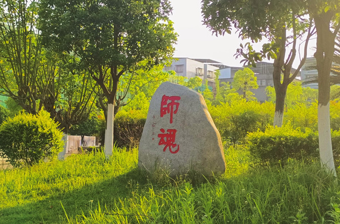 摄影社｜寻初冬暖意，觅校园美景