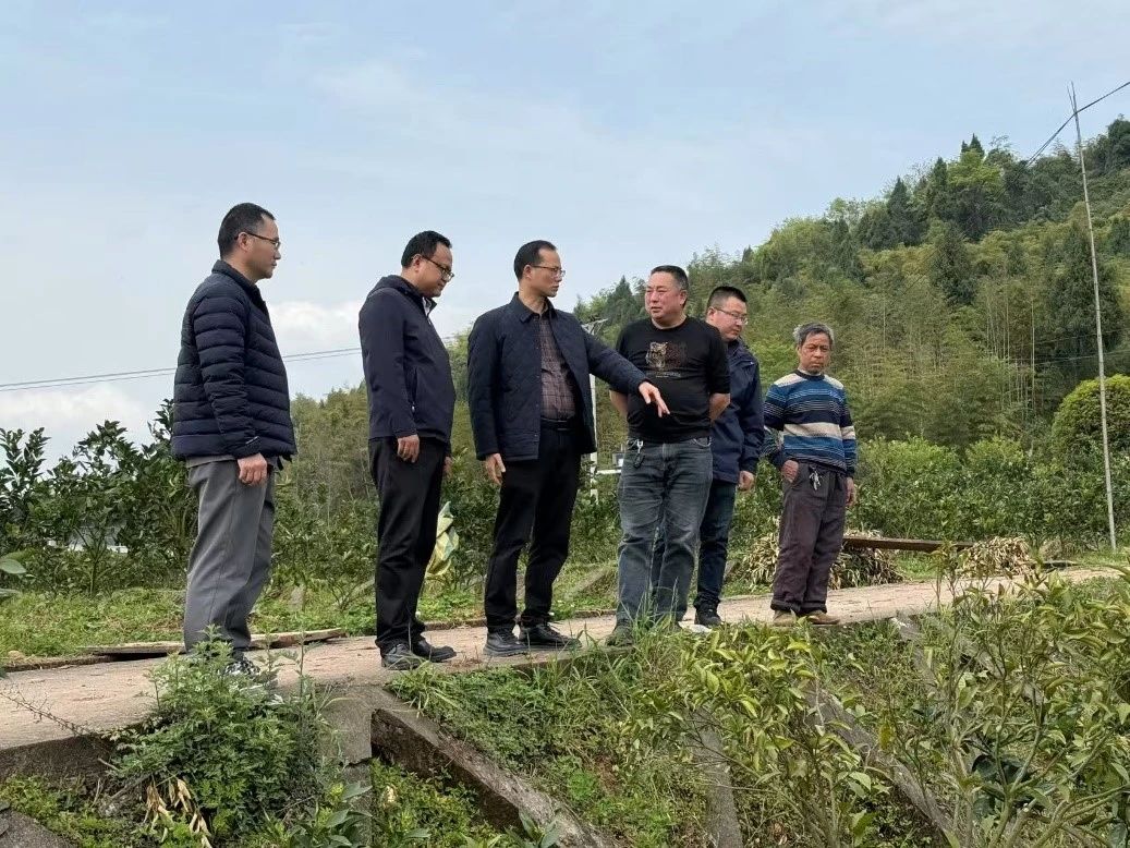 南充师范学校开展2025年第一季度乡村振兴帮扶调研工作